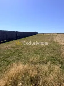 Teren Turcesti, Pitesti - 730 mp! - foto 2