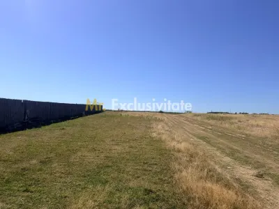 Teren Turcesti, Pitesti - 730 mp! - Pitesti