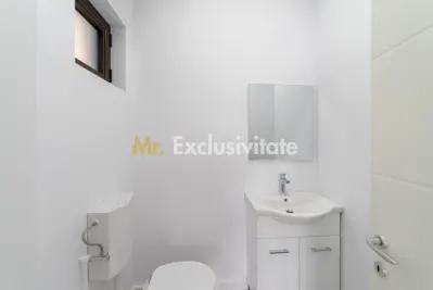 Spațiu comercial generos – 160 mp – poziție premium pe Craiovei! - foto 15