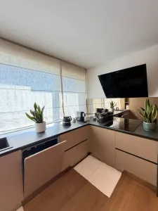 Apartament PREMIUM cu curte, terasă și lift cu acces direct în living - foto 24