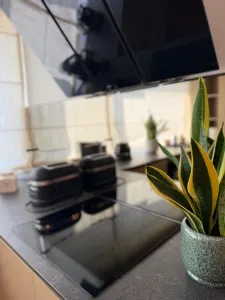 Apartament PREMIUM cu curte, terasă și lift cu acces direct în living - foto 33