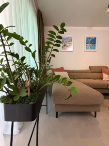 Apartament PREMIUM de vanzare– Tăietura Turcului, Cluj-Napoca - foto 4