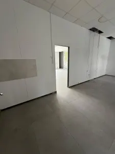 Spatiu comercial de inchiriat, 90 mp, alimentatie publica, Eroilor. - foto 9