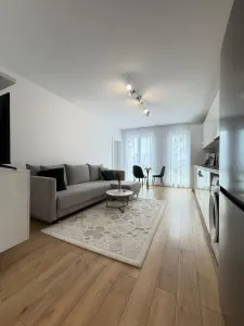 Apartament 2 camere, balcon, etaj intermediar, garaj, zona Eroilor - foto 12