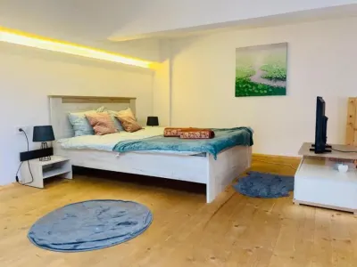 Oportunitate investitie, 9 Apartamente, Ultracentral - foto 19