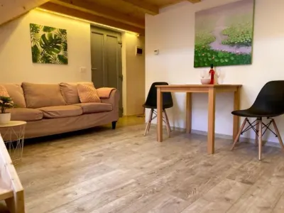 Oportunitate investitie, 9 Apartamente, Ultracentral - foto 10