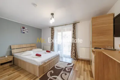 Pensiune Calimanesti, jud. Valcea - foto 13