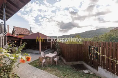Pensiune Calimanesti, jud. Valcea - foto 4