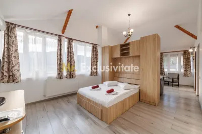 Pensiune Calimanesti, jud. Valcea - foto 10