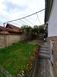 Camera la casa, Zorilor, zona UMF si USAMV+Curte - foto 12