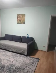 inchiriere Apartament 2 Camere Decomandat Berceni-Nitu Vasile - foto 3