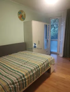 inchiriere Apartament 2 Camere Decomandat Berceni-Nitu Vasile - foto 5