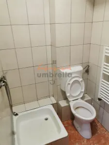 DE INCHIRIAT garsoniera , zona Plopilor Manastur, 18 mp, 195 euro - foto 6