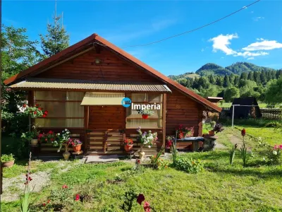 Campulung Moldovenesc, zona Cucoara | 4.544 mp teren | 2 casute locuibile + 2 foisoare - foto 2