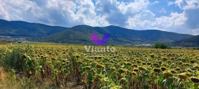 Teren Extravilan 900mp - Poplaca - foto 2