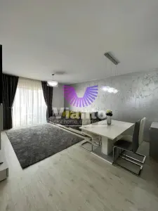 Apartament 3 camere de inchiriat Doamna Stanca - foto 2
