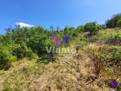 Teren Intravilan 546 mp | Panorama deosebita | PUZ in lucru - foto 8