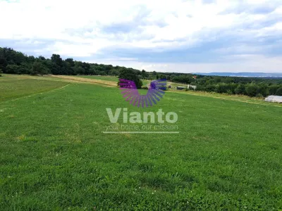 Oportunitate-Teren Extravilan 6200 mp cu vedere Panoramica-Tropinii Noi-Rasinari - foto 2
