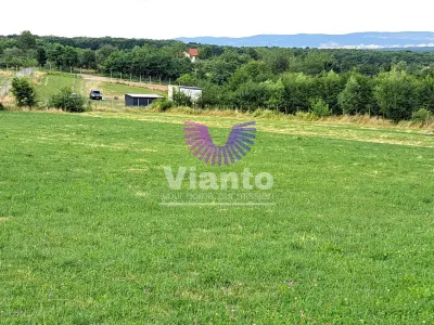 Oportunitate-Teren Extravilan 6200 mp cu vedere Panoramica-Tropinii Noi-Rasinari - foto 3