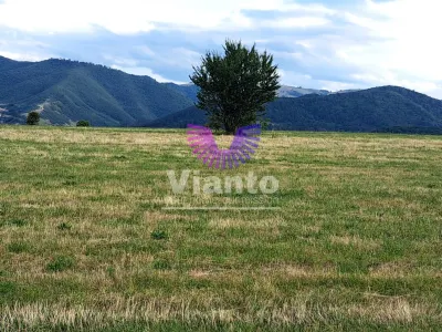 Oportunitate-Teren Extravilan 6200 mp cu vedere Panoramica-Tropinii Noi-Rasinari - foto 6