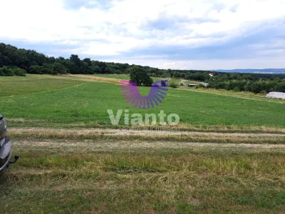 Oportunitate-Teren Extravilan 6200 mp cu vedere Panoramica-Tropinii Noi-Rasinari - foto 7