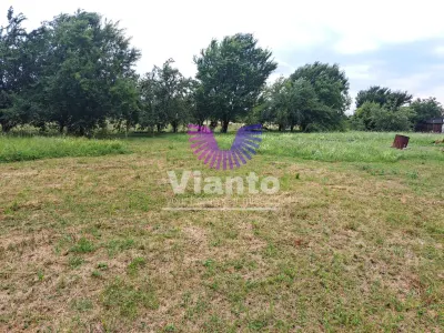 Teren intravilat| Zona rezidentila 1156 mp-TURNISOR - foto 3