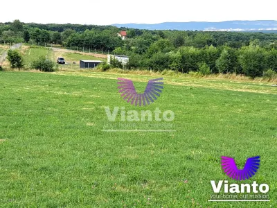 Oportunitate-Teren Extravilan 3100 mp cu vedere Panoramica-Tropinii Noi-Rasinari - foto 3