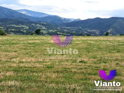 Oportunitate-Teren Extravilan 3100 mp cu vedere Panoramica-Tropinii Noi-Rasinari - foto 5