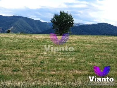 Oportunitate-Teren Extravilan 3100 mp cu vedere Panoramica-Tropinii Noi-Rasinari - foto 6