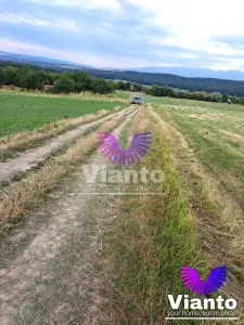 Oportunitate-Teren Extravilan 3100 mp cu vedere Panoramica-Tropinii Noi-Rasinari - foto 8
