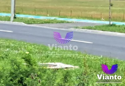 Oportunitate Teren Intravilan 9000mp-Turnisor - foto 5