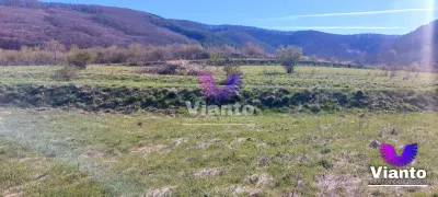 Teren extravilan 1500mp - Poplaca - foto 4