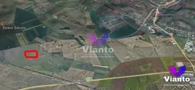 Teren agricol extravilan Sura Mare - 5000 mp - Sura Mare