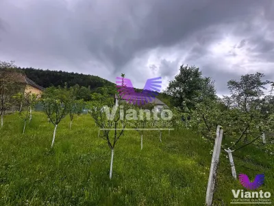 Casa individuala 3 camere cu teren 1100mp - Fantanele - foto 4