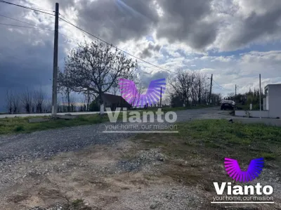 Comision 0% teren intravilan premium între 500 și 1.000 mp la drum județean | Daia Nouă - foto 9