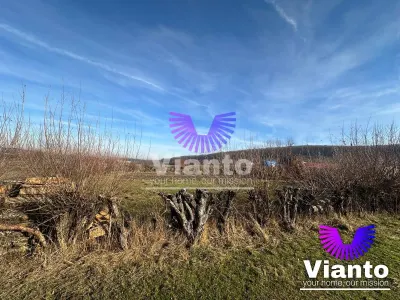 Teren intravilan 1080 mp in Rasinari - foto 6