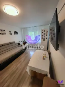 Garsoniera decomandata | Zona Lazaret | Pivnita inclusa - foto 6