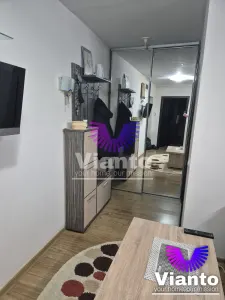 Apartament 2 camere | Valea Aurie | Aproape de Parcul Sub Arini - foto 3