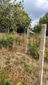 RECO Casa teren generos Sinteu - foto 11