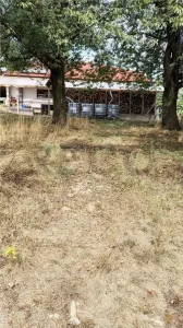 RECO Casa teren generos Sinteu - foto 9