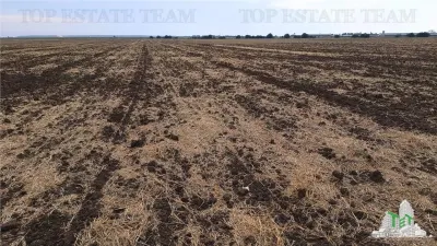 Oferim spre vanzare 6 loturi de teren extravilan (agricol) in Petrachioaia ILFOV la doar  1,85euro/mp. - foto 11