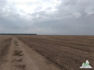 Oferim spre vanzare 6 loturi de teren extravilan (agricol) in Petrachioaia ILFOV la doar  1,85euro/mp. - foto 6