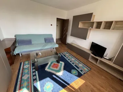 Apartament 2 camere , zona Complexul Studentesc - foto 2