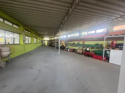HALA DE INCHIRIAT – MAGURELE, DN1A | 200 MP | CURENT TRIFAZAT - foto 7