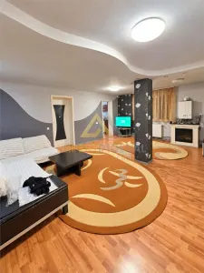 Casa cu piscina de vanzare zona Castel Transilvania Baia Mare - foto 8