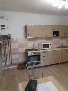 Vila Individuala Timisoara - foto 2