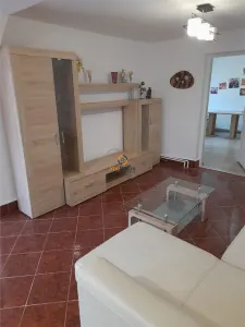 Vila Individuala Timisoara - foto 26