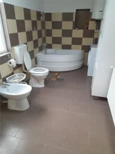 Vila Individuala Timisoara - foto 29