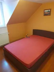 Vila Individuala Timisoara - foto 6