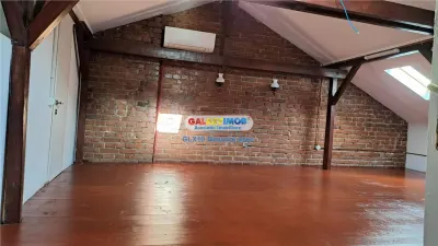 Vila cu personalitate ideala birouri PALATUL COTROCENI - foto 13